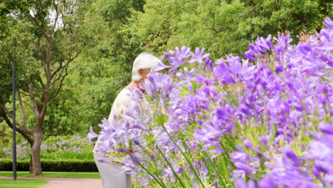 Ältere-Weiße-Frau,-Die-In-Einem-Park-Spaziert-Und-Blumen-Bewundert