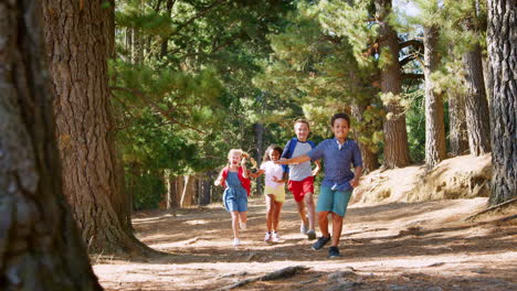 Group-Of-Children-Running-Along-Trail-On-Hiking-Adventure
