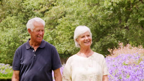 Senior-white-couple-walk-hand-in-hand-towards-camera-in-park