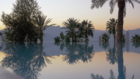Landscape-with-glossy-pool-palm-trees-and-misty-mountains