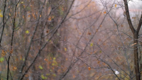 Snowfall-in-autumn-against-faded-trees