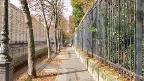 Quiet-Paris-street-on-sunny-autumn-day-France