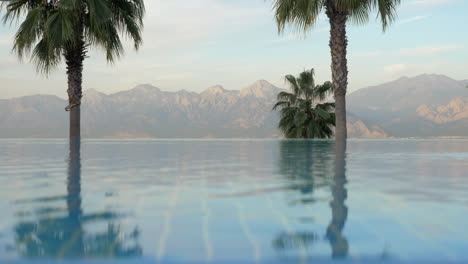 Outdoor-swimming-pool-with-palms-and-mountains-scene