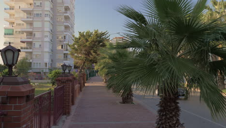 Walking-on-sidewalk-lined-with-palms-Street-with-car-traffic-and-hotels-Turkey