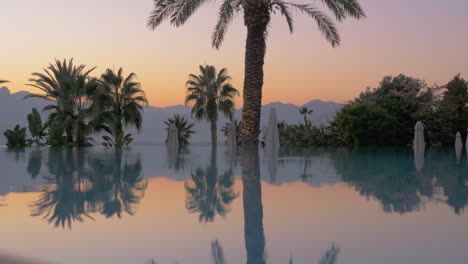 Mirror-pool-reflecting-a-tropical-landscape