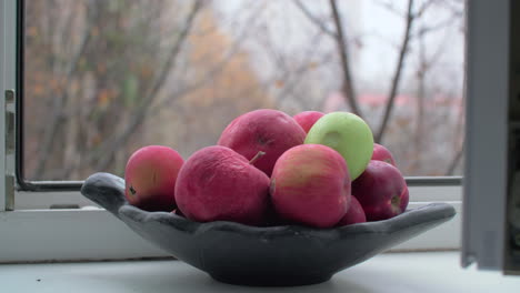 Bowl-with-apples-and-late-autumn-outside-the-window