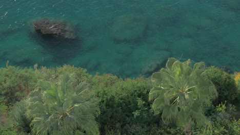 Sea-and-stones-underwater-Green-palms-on-coast-Shot-with-polarizer