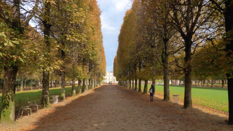 Herbstszene-Der-Von-Bäumen-Gesäumten-Promenade-In-Den-Luxemburger-Gärten-Von-Paris