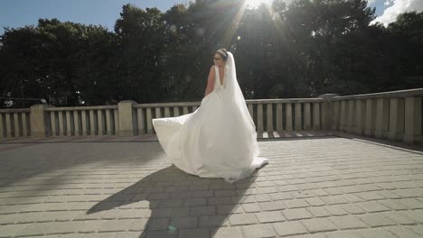 Schöne-Und-Schöne-Braut-Im-Hochzeitskleid-Und-Schleier-In-Sonnenstrahlen.-Zeitlupe