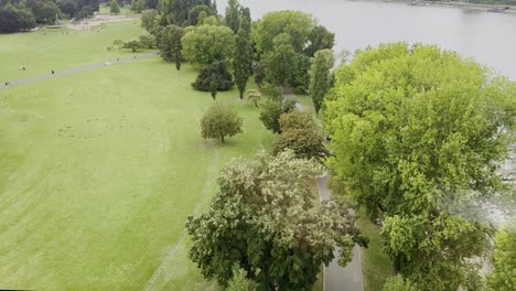 Drohnenaufnahme-über-Dem-Rheinpark-In-Köln-über-Dem-Rhein