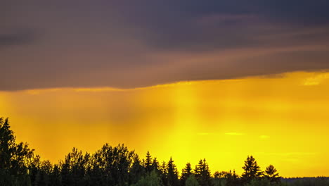 Zeitraffer-Eines-Orangefarbenen-Sonnenuntergangs-über-Einer-Sich-Bewegenden-Wolkensilhouette-In-Vorstädtischen-Wäldern