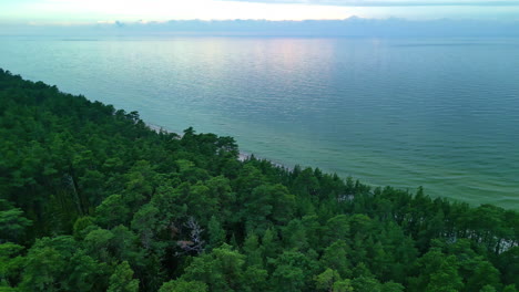 Aerial-clip-of-a-coastal-island-area-with-visible-dense-forest-and-clear-water-in-the-sea