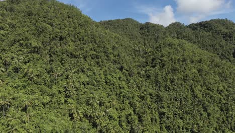Luftaufnahme,-Die-Durch-Tropische-Dschungelberge-Fliegt---Philippinen