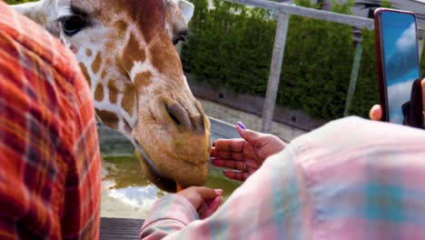 Kinder-Füttern-Eine-Giraffe-Auf-Dem-örtlichen-Bauernhof