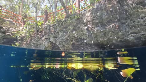 Pov-Buceo-Medio-Sumergido-En-Aguas-Cristalinas-De-Color-Turquesa-En-El-Cenote-Nicte-ha-Con-Vegetación-Acuática-En-Tulum,-México