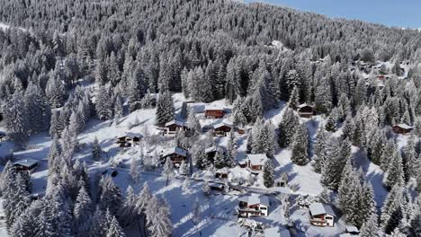 Swiss-wooden-houses-on-snowy-slope-with-conifer-trees-in-Switzerland-during-snowy-winter-at-sunny-day---Brambrüesch,-Switzerland---Aerial-orbiting-shot