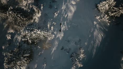 two-people-skiing-and-hiking-through-beautiful-wintery-forest-aerial-topshot