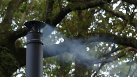 Mid-shot-left-of-frame-of-a-metal-flue-chimney-with-light-smoke,-large-tree-behind
