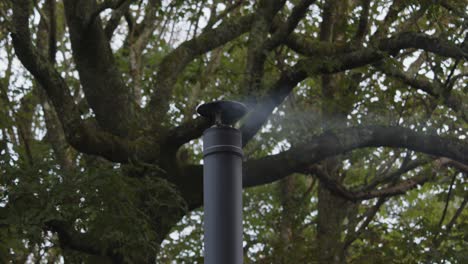 mid-shot-of-a-metal-flue-chimney-with-light-smoke,-large-tree-behind