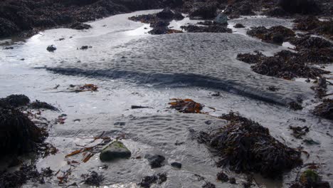 Wide-shot-of-sea-water-draining-into-the-sea-at-low-tide-with-seaweed