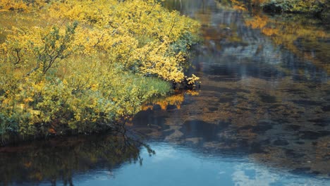 Eine-Farbenfrohe-Herbstvegetation-Am-Ufer-Des-Flachen-Flusses-Mit-Klarem,-Transparentem-Wasser