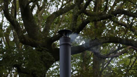 mid-shot-of-a-metal-flue-chimney-with-smoke-starting-to-come-out,-large-tree-behind