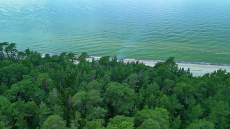 Luftaufnahme-Eines-Strandes-In-Der-Nähe-Dicht-Bewaldeter-Bäume-Und-Klarem,-Grünen-Wasser