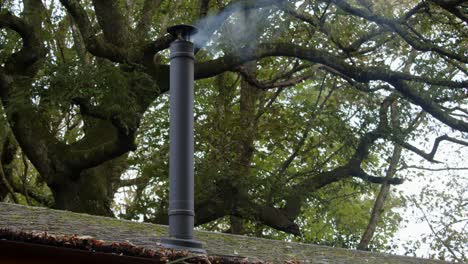 wide-shot-of-a-metal-flue-chimney-with-light-smoke,-roof-line-and-large-tree-behind