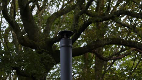mid-shot-of-a-metal-flue-chimney-with-large-tree-behind