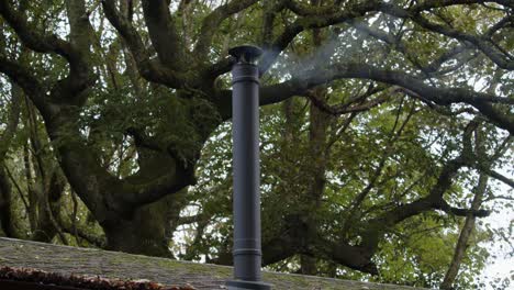 wide-shot-of-a-metal-flue-chimney-with-light-smoke,-large-tree-behind