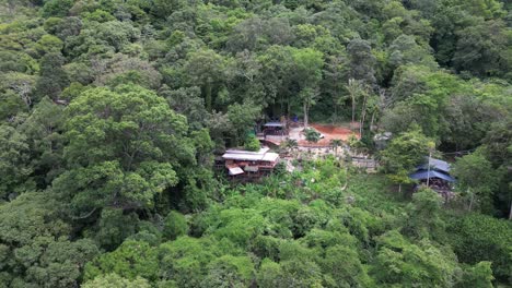 Drone-flying-over-the-thick-dense-forest-with-tree-houses-habitable-cottage