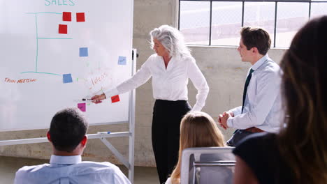 Senior-white-female-boss-holds-a-meeting-using-a-whiteboard