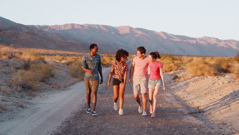 Two-young-adult-couples-walking-and-talking-on-a-desert-road
