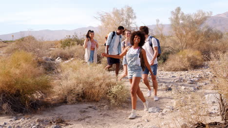 Five-young-adult-friends-walking-in-Palm-Springs-desert