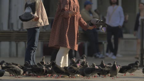 Children-feeding-pigeons