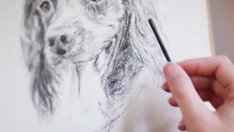 Close-Up-Of-Artist-Sitting-At-Easel-Drawing-Picture-Of-Dog-In-Charcoal