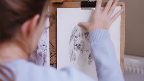 Artista-Adolescente-Sentada-En-Un-Caballete-Dibujando-Un-Perro-A-Partir-De-Una-Fotografía-Con-Carbón