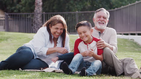 Senior-Hispanic-couple-sitting-on-grass-tickling-their-grandchildren-and-smiling-to-camera