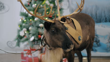 Reindeer-near-the-Christmas-tree
