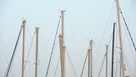 Yachtmasten-Vor-Strahlend-Blauem-Himmel
