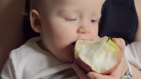 Einjähriges-Baby,-Das-Apfel-Isst