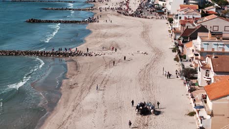 Horses-and-bulls-walking-over-public-beach-in-Palavas,-France-Aerial-view