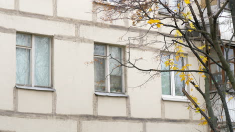 Autumn-view-of-apartment-block-and-tree-with-dry-leaves