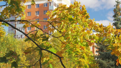 Mehrfamilienhaus-Und-Ahornbaum-Im-Herbst
