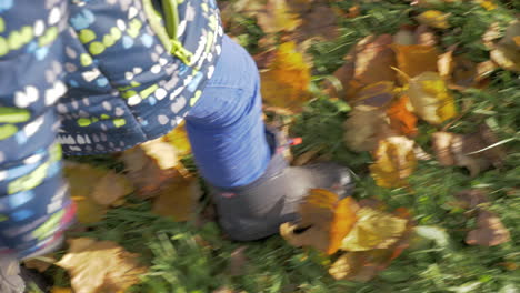 Child-walking-on-dry-leaves-in-autumn