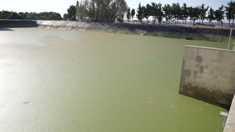 Large-pool-of-dirty-wastewater-with-grease-on-surface