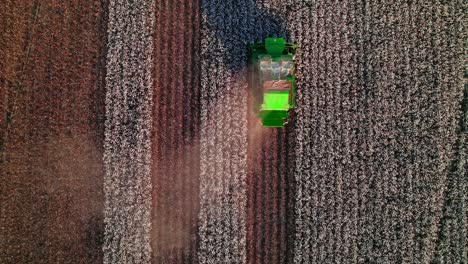 Wunderschöne-Luftaufnahme-Von-Oben-Nach-Unten-über-Dem-Baumwollfeld-Mit-Grünem-Traktor,-Der-Die-Weißen-Blumen-Pflückt
