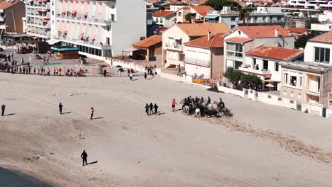 Aerial-tracking-shot-of-a-loose-bull-running-along-Palavas-Beach-being-chased