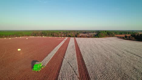 Revealing-Green-Tractors-enters-the-frame-combining-the-cotton-field