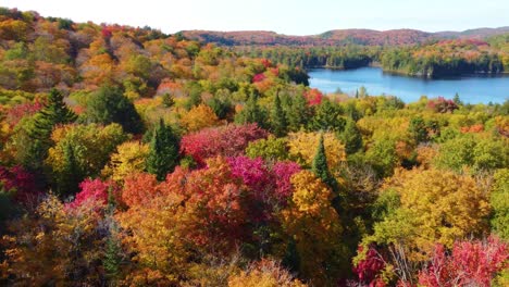 Luftpanorama-Drohnenansicht-über-Der-Herbstlichen-Waldlandschaft-In-Quebec,-Montreal